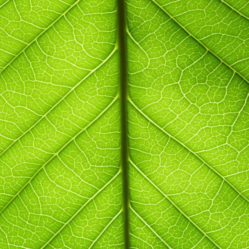 Understanding the Big Three value drivers for any dollar coin.